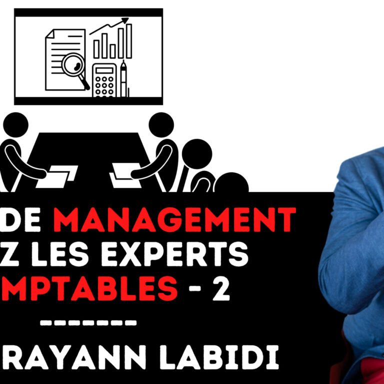 335 – Crise du management chez les experts comptable – Rayann Labidi (épisode 2)